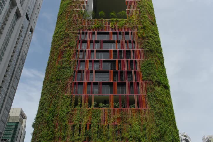 Vegetation grows on the facade of a red building in the city