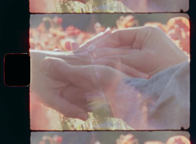 Romantic Super-8 film footage closeup of a male hand placing a silver engagement ring with diamonds or brilliants on the ring finger of a female hand in a field of wild red poppy flowers next to the woods during sunset on a warm summer day