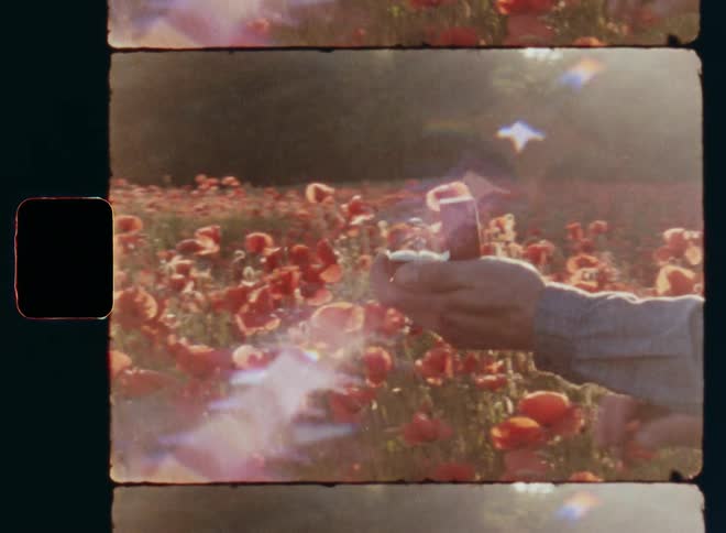 Middle-aged man presents engagement ring in a red jewel case to his girlfriend and asks her to marry him before she embraces him while accepting the proposal of marriage and they hug while smiling in a poppy field on Super-8 mm film