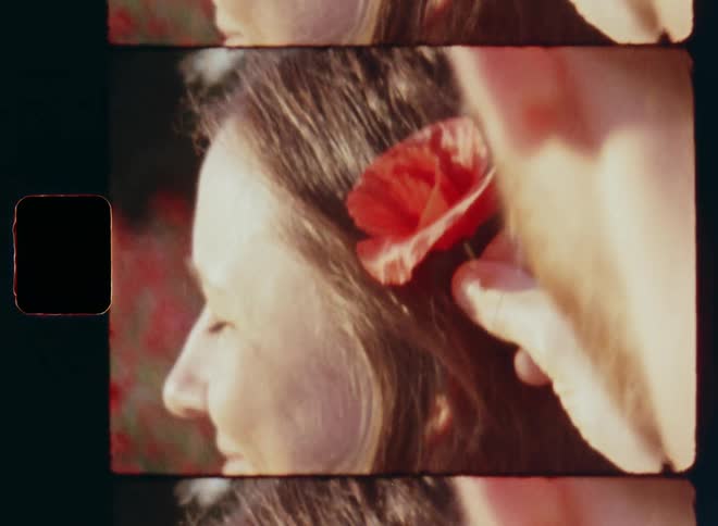 Hand of blond man with beard placing a red poppy flower behind the ear of a young smiling woman with brown brunette hair during romantic moment while falling in love on date night at sunset on a warm springtime day on vintage Super-8 mm film
