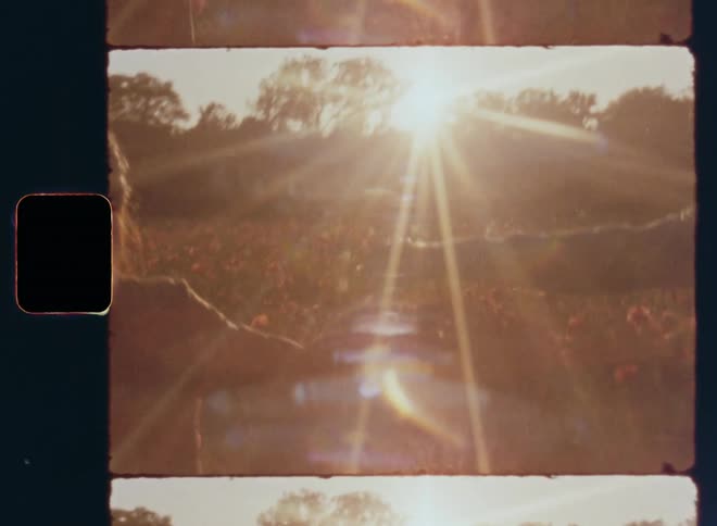 Handheld dynamic 8mm film footage of a man and a woman walking parallel and side by side holding hands in a grass and flower field walking towards the bright sun above a tree line quickly coming together and hugging while she smiles