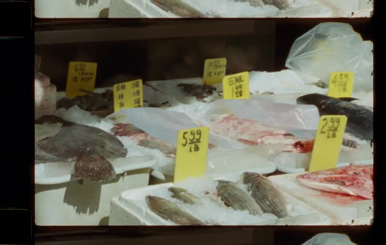 Varieties of iced fishes in white crates