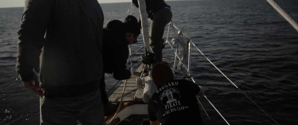 People are on a boat working as it sails