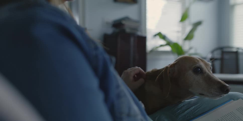 Woman sitting down on a couch indoors petting a dog and reading a book