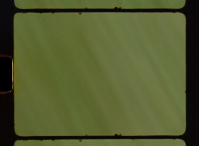 A flickering screen with lines and a flick of a tree quickly