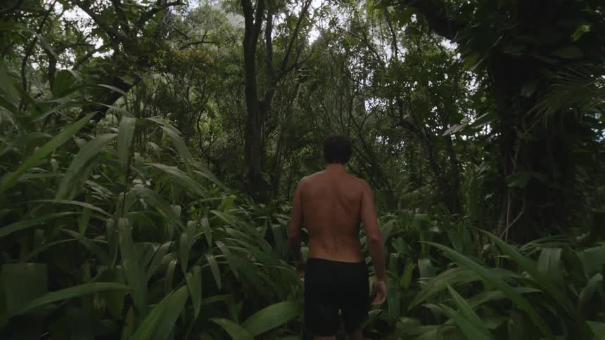 A man walking along a path in the middle of a forest with many plants and trees around