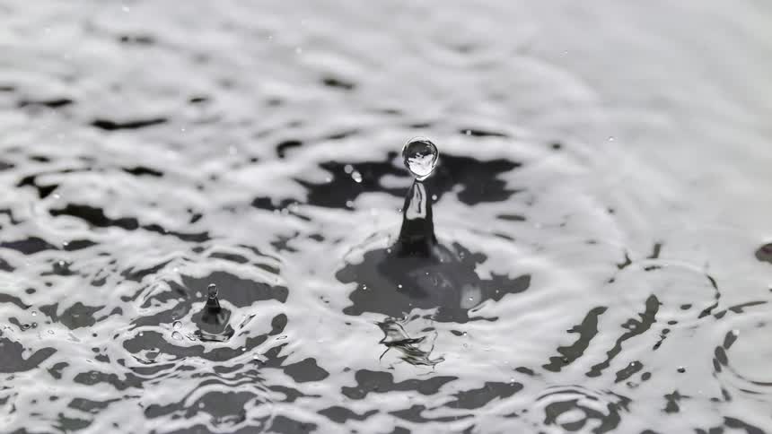 Raindrops falling into a lake cause ripples