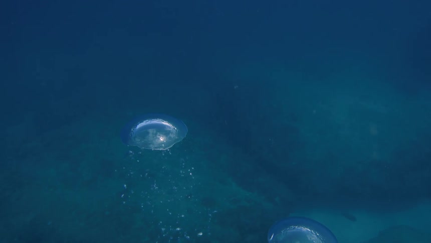 Large bubbles rise from underwater and break the surface
