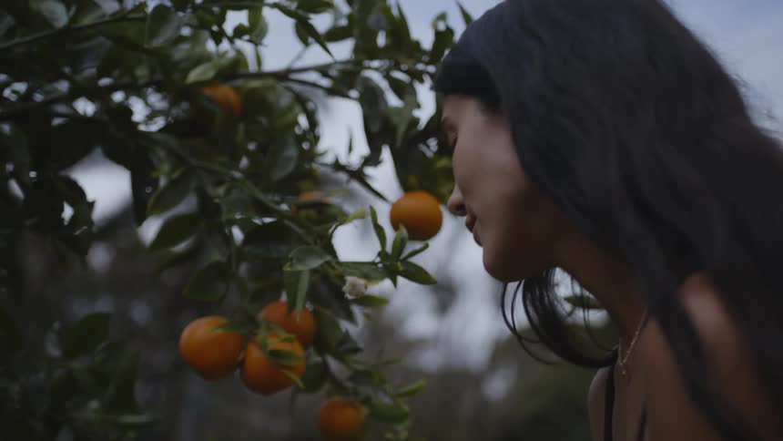 A woman picks oranges on a cloudy day