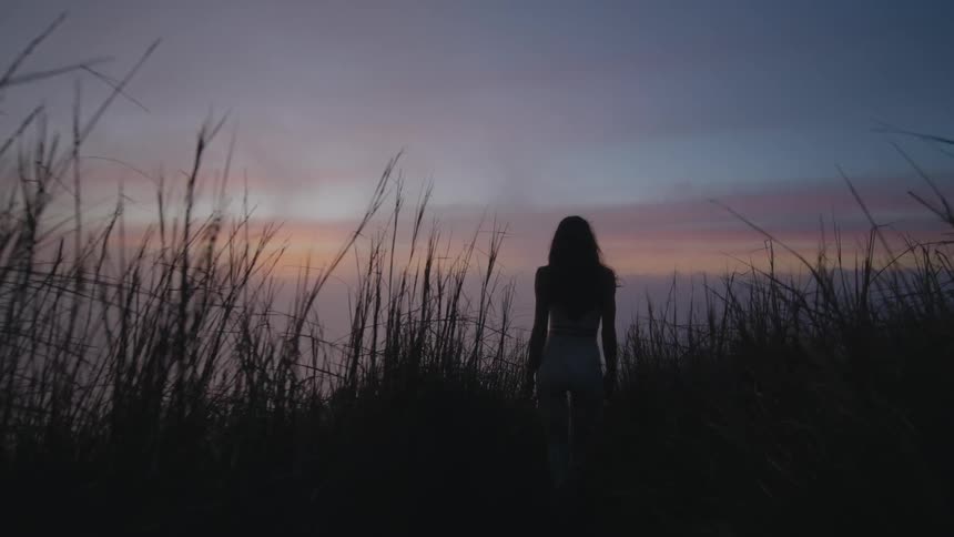 A woman is shown from behind walking through tall grass at dusk