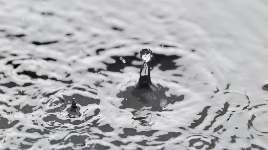 Drops of liquid falling on a water surface and causing the water to rise