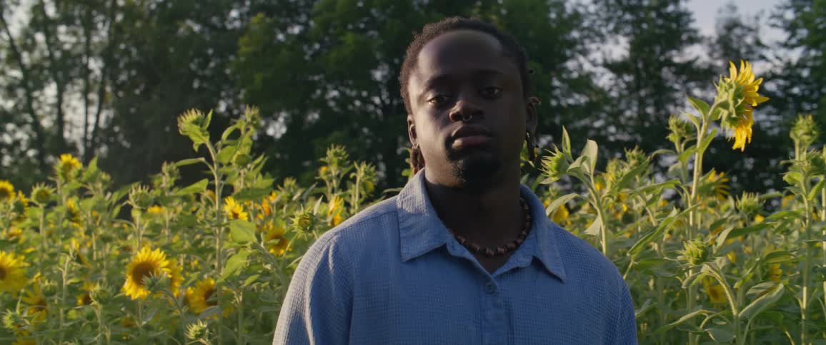 A young man standing in a sunflower field