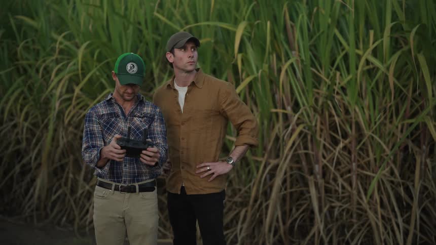 Men in a plantation using an electronic device