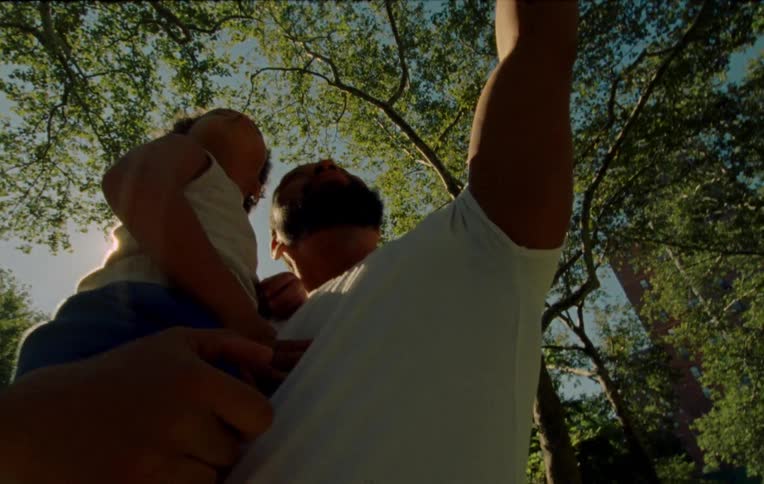 Amidst the sunshine a black man tenderly carries a child in a park beneath a tree gesturing towards the lush green grass
