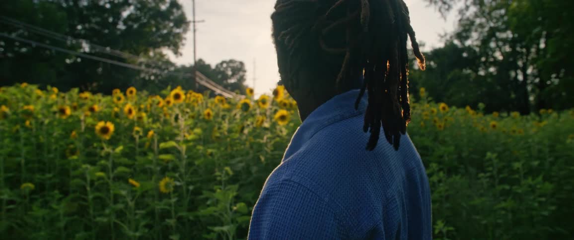 A man is standing before a sunflower farm
