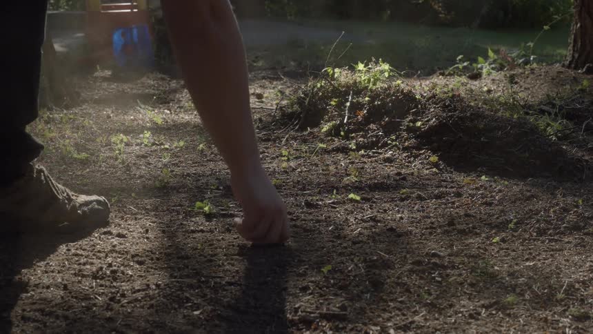 A person is plowing the ground with a rake and pulling out small grass cuttings