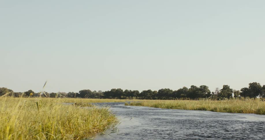 A river flows into the wilderness flanked by pale grasses on each side and accompanied by distant trees in the background