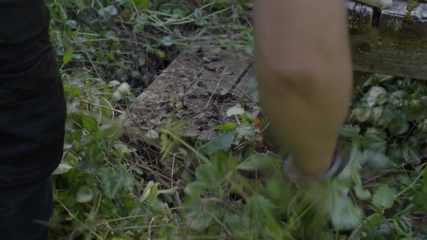 A person wearing a glove while clearing grasses from a rotten wood table