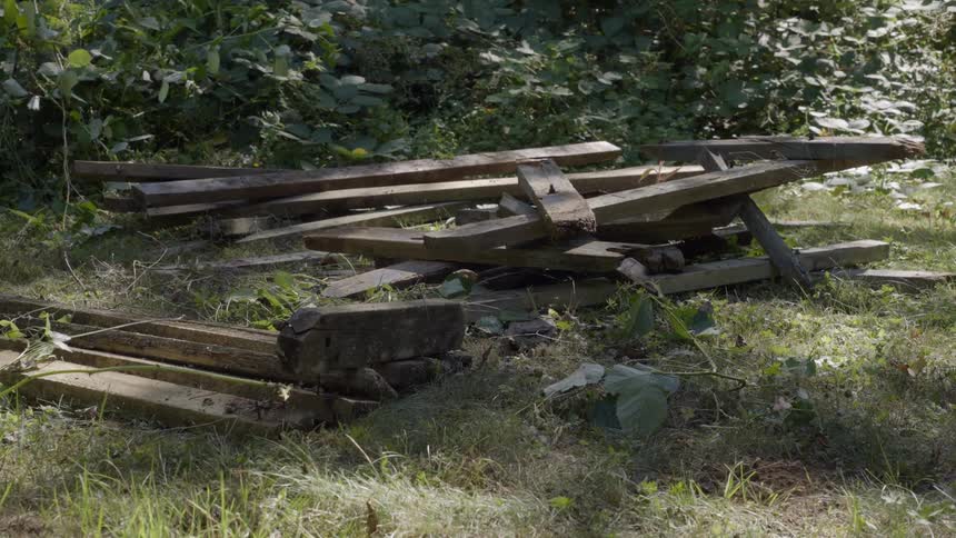 Broken pieces of wood scattered in an outdoor environment with vegetation