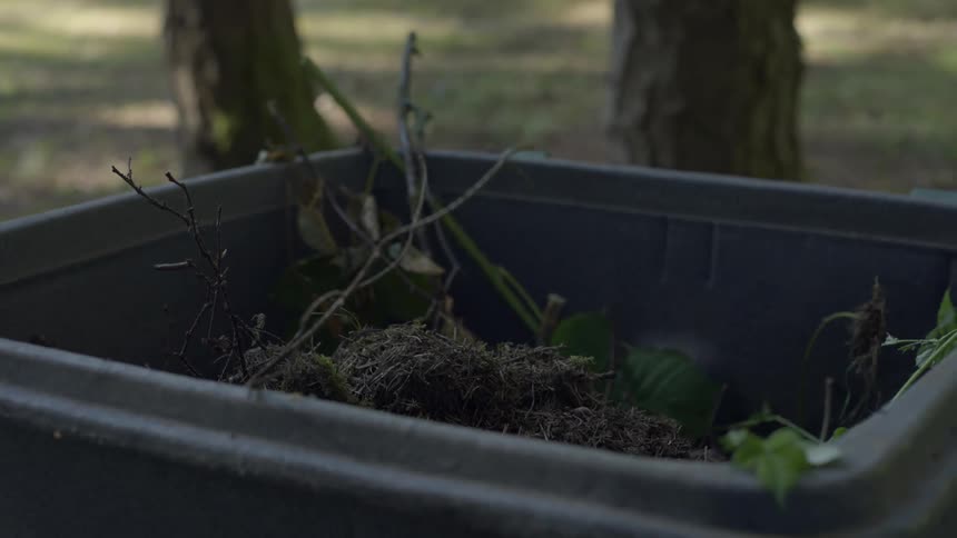 Closeup of a trash bin where soil and dry foliage from shrubs are being discarded