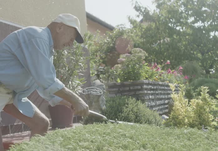 An elder man cutting some plant with a carpentry scissors