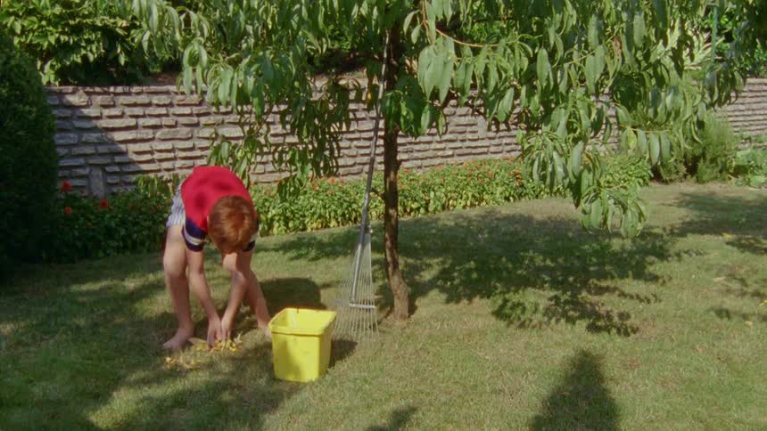 Redheaded boy rakes up leaves in yard