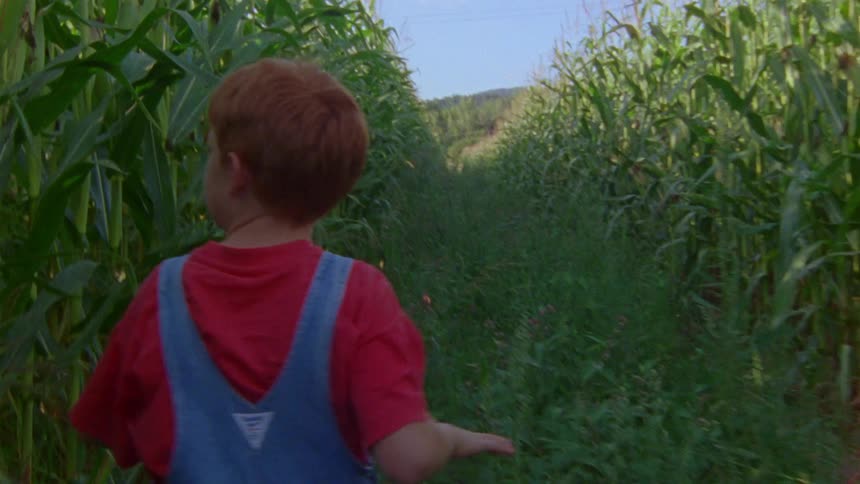 A redhaired boy in overalls walks down a path through the cornfield
