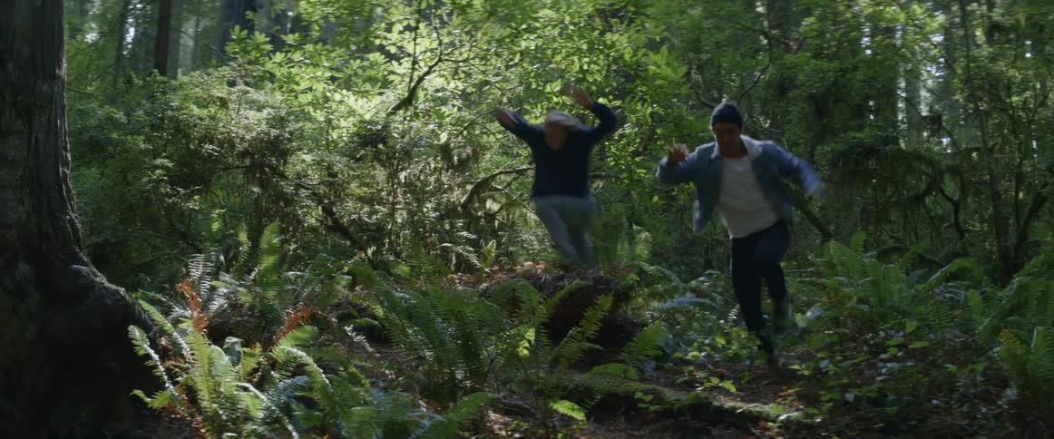 Two men race through the forest
