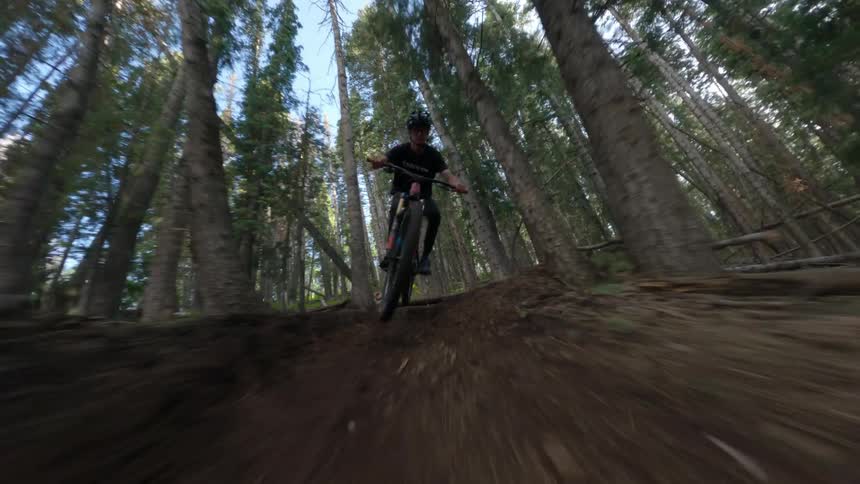 Cyclist rides bicycle along trail through woods on sunny day