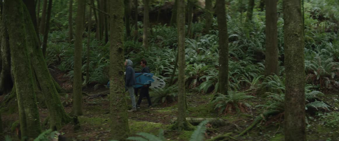 Two people walking through a forest with tall trees as they carry surfboards during the day