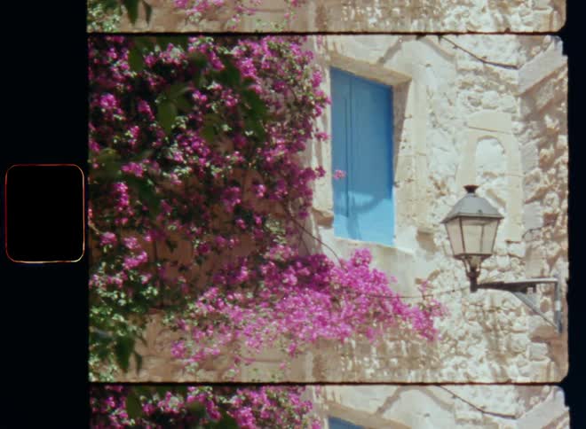 External architecture of an old brick stone wall of historical building or house with a closed window with vibrant blue shutters and a vintage street lamp or lantern and colourful pink flowers and green leaves with strong contrast in a backstreet