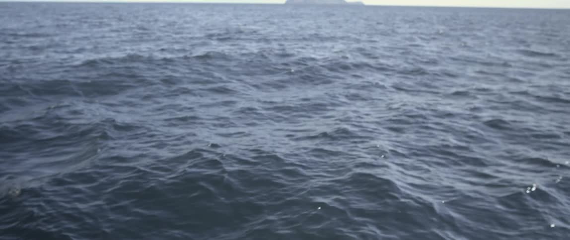 Waves move around in the water