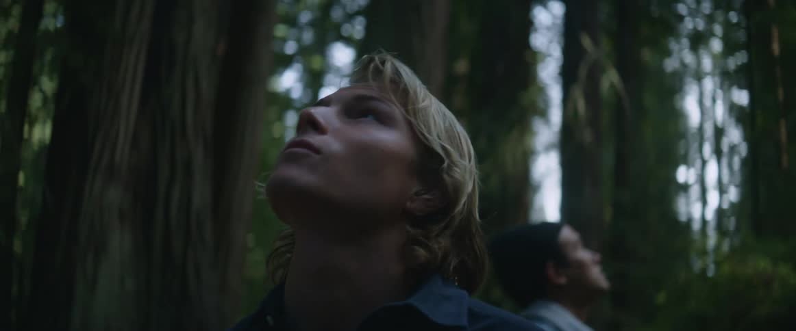 Close up of a young mans face as he looks up in a forest of tall trees with a friend behind him