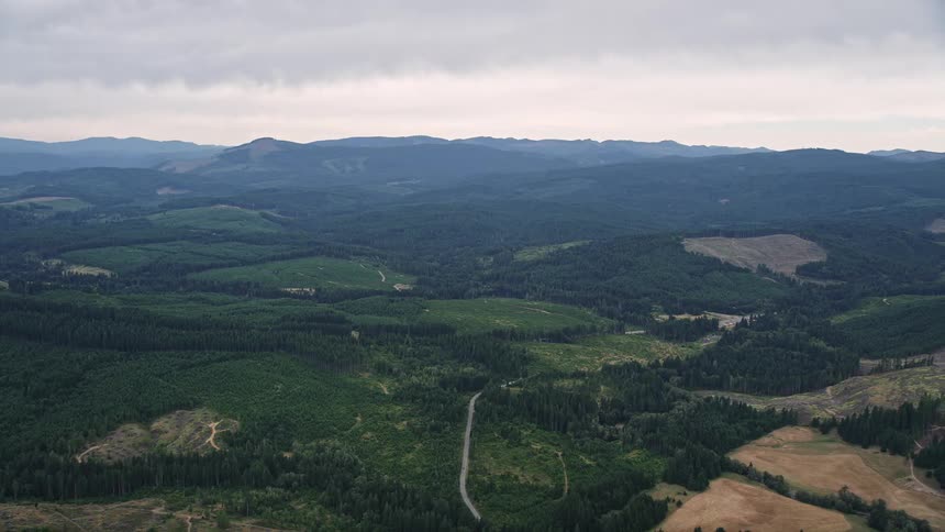 Aerial footage showcasing the lush evergreen forests and clear cut areas of Washington County Oregon during the summer