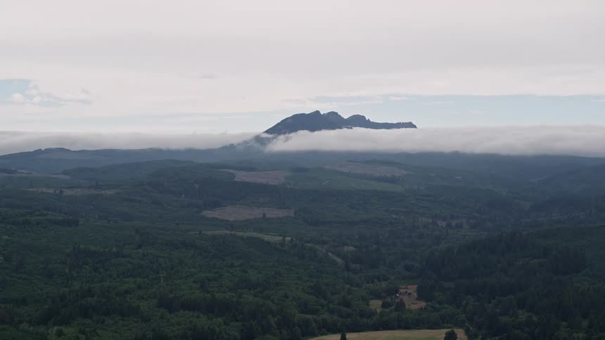Aerial footage of Saddle Mountain showcasing the evergreen forest logging areas and mountain peaks in Clatsop County Oregon during the summer
