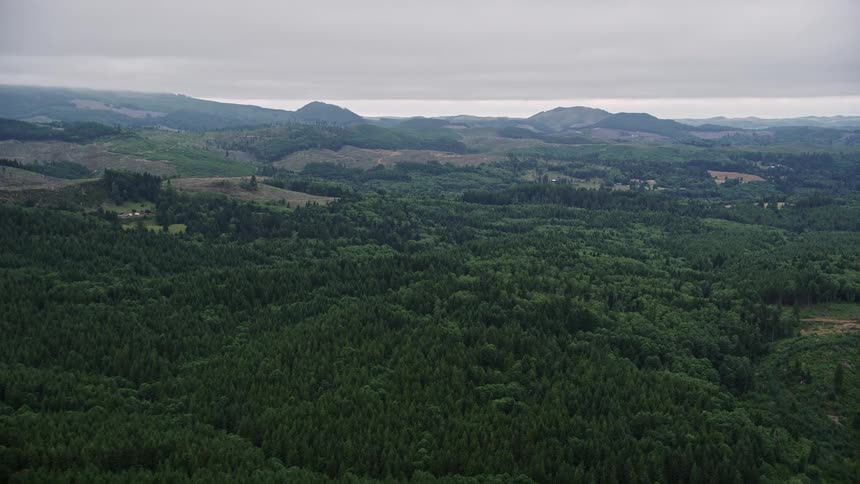 Aerial footage of evergreen forests clear cut areas and fields in Clatsop County Oregon showcasing the natural beauty and landscape of the Pacific Northwest during summertime