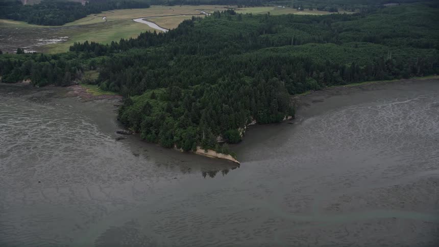 Aerial footage of a lush evergreen forest and wetlands along the shore of Willapa Bay Nemah Washington during a sunny summer day