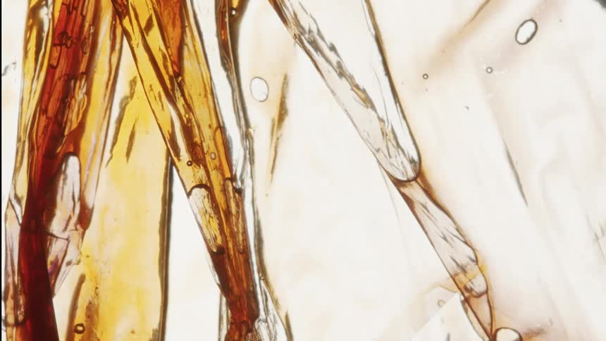A gold fluid flows and leaves behind bubbles