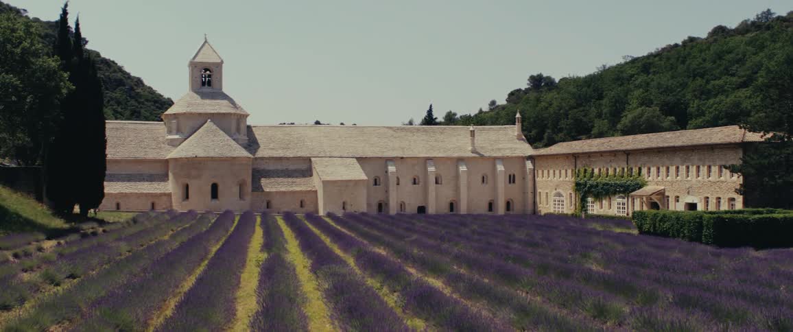 A building beside a farm with purple plants