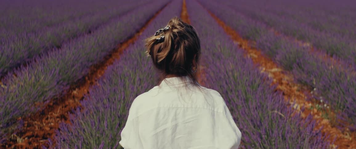 The backside of a woman looking out over a lavender field blossoming during a bright summer day