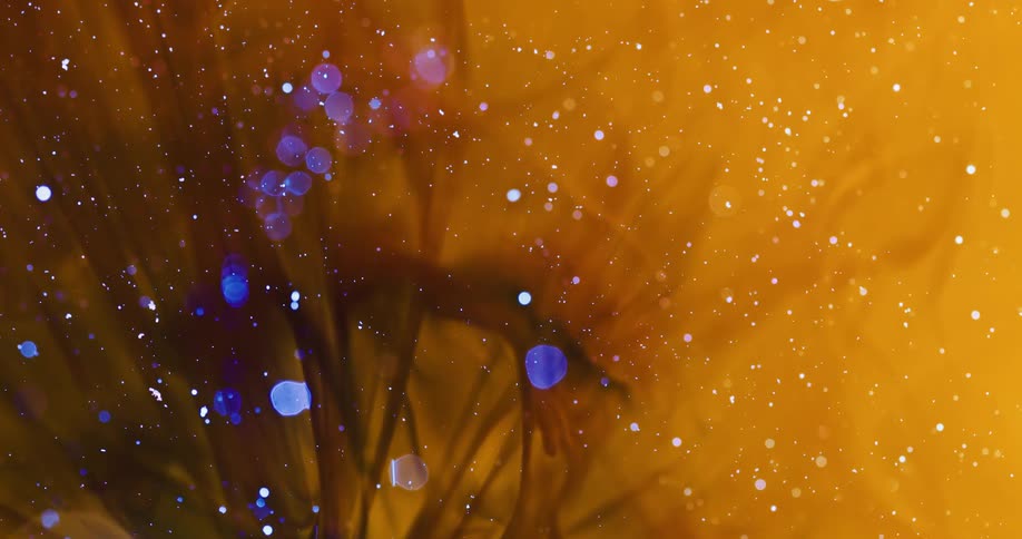 Blue bubbles float past plants underwater