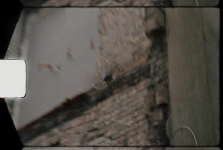 A pigeon flies in circles near an abandoned brick building