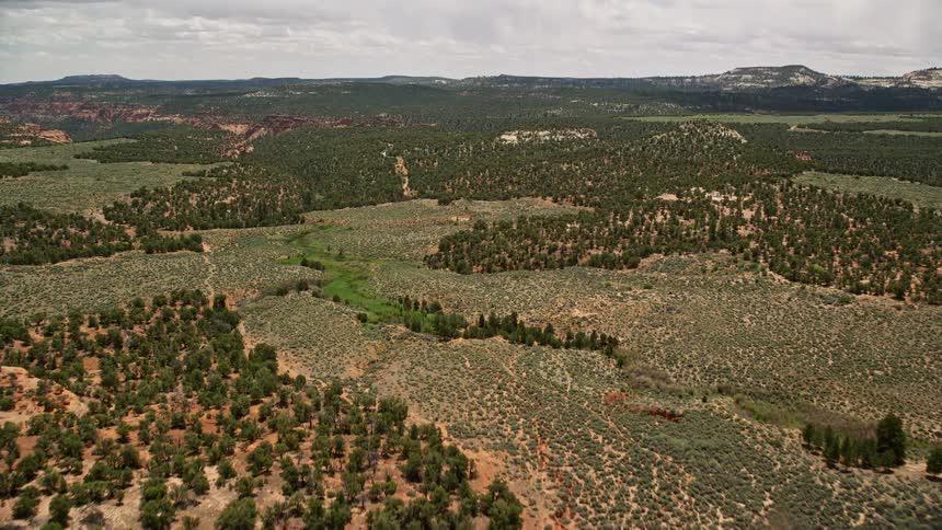 anaerial pan showcases the scenic mesa valley and Dixie National Forest in Utah during a sunny summer day