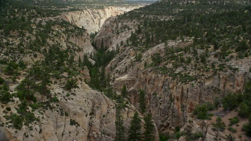  aerial footage capturing an flyover of a narrow canyon surrounded by mountains and pine trees in the stunning Grand Staircase-Escalante National Monument Utah on a cloudy day during summer