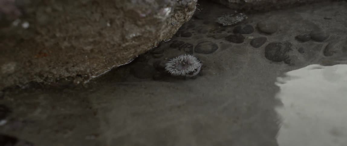 There is still water near these rocks