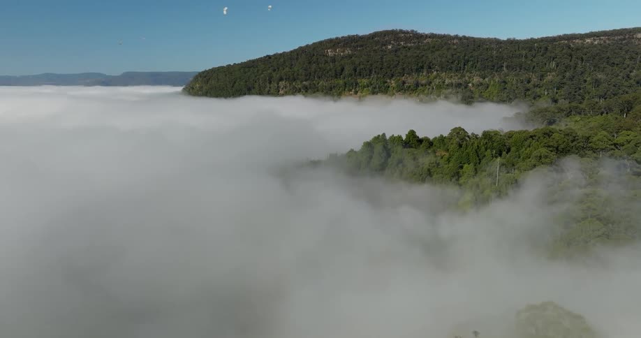 Aerial view of a chain of mountains covered by clouds and birds flying overhead