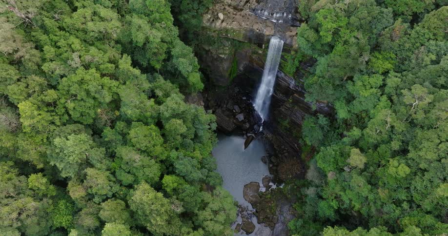 Waterfalls flow over a steep cliff and into a stream surrounded by trees and forest