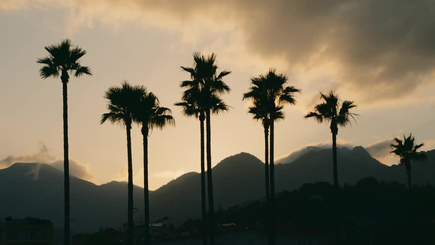 Bright sunlight back lights mountains and palm trees casting them into silhouettes