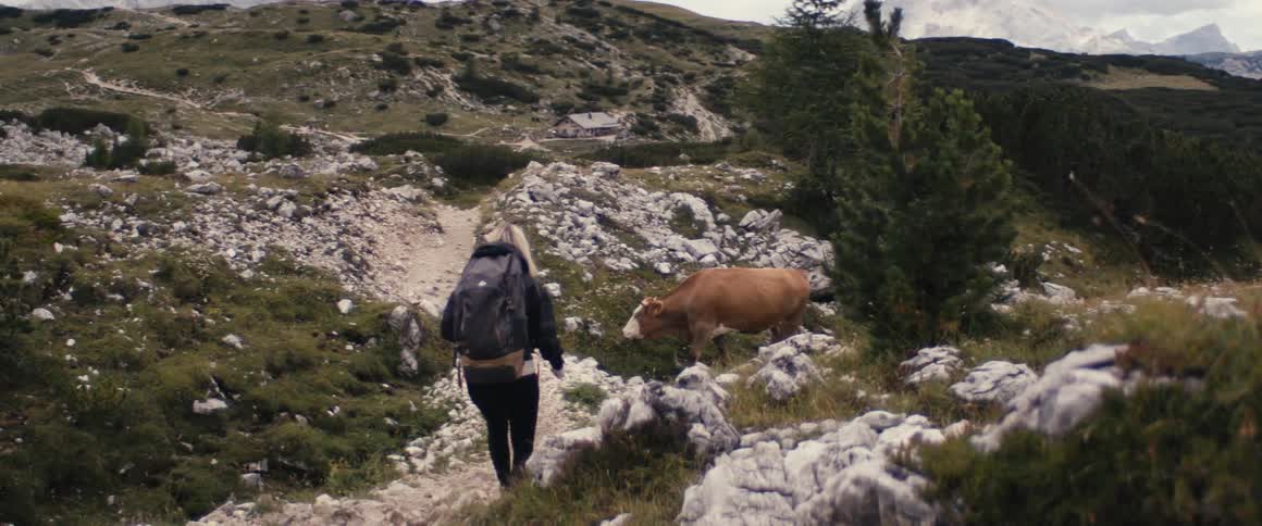 Woman walking on a mountain trail with a bull feeding ahead of her