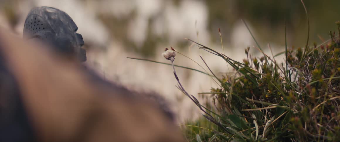 Closeup of grass a moving flower and next to it a boot